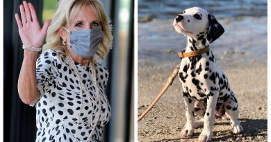 Photos: Jill Biden Masks Up And Looks Like A 101 Dalmatians Cruella De Vil At The 2021 Olympics Opening Ceremony