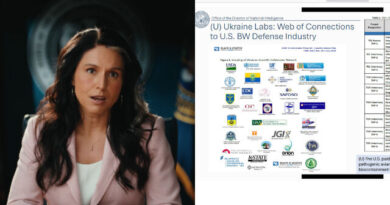 Tulsi Gabbard Keeps Her Word: Releases Explosive Evidence Showing , Mainstream Media, Government Insiders, and NGOs Were All Lying Tulsi Gabbard Keeps Her Word: Releases Explosive Evidence Showing , Mainstream Media, Government Insiders, and NGOs Were All Lying
