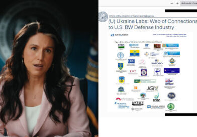 Tulsi Gabbard Keeps Her Word: Releases Explosive Evidence Showing , Mainstream Media, Government Insiders, and NGOs Were All Lying Tulsi Gabbard Keeps Her Word: Releases Explosive Evidence Showing , Mainstream Media, Government Insiders, and NGOs Were All Lying