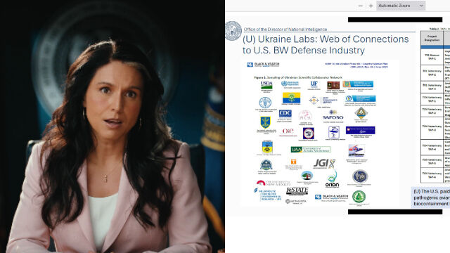 Tulsi Gabbard Keeps Her Word: Releases Explosive Evidence Showing , Mainstream Media, Government Insiders, and NGOs Were All Lying Tulsi Gabbard Keeps Her Word: Releases Explosive Evidence Showing , Mainstream Media, Government Insiders, and NGOs Were All Lying