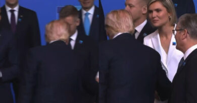 Iceland PM Tries to Go 1V1 With Trump at NATO Summit — Close Up Video Shows the Moment (Video)